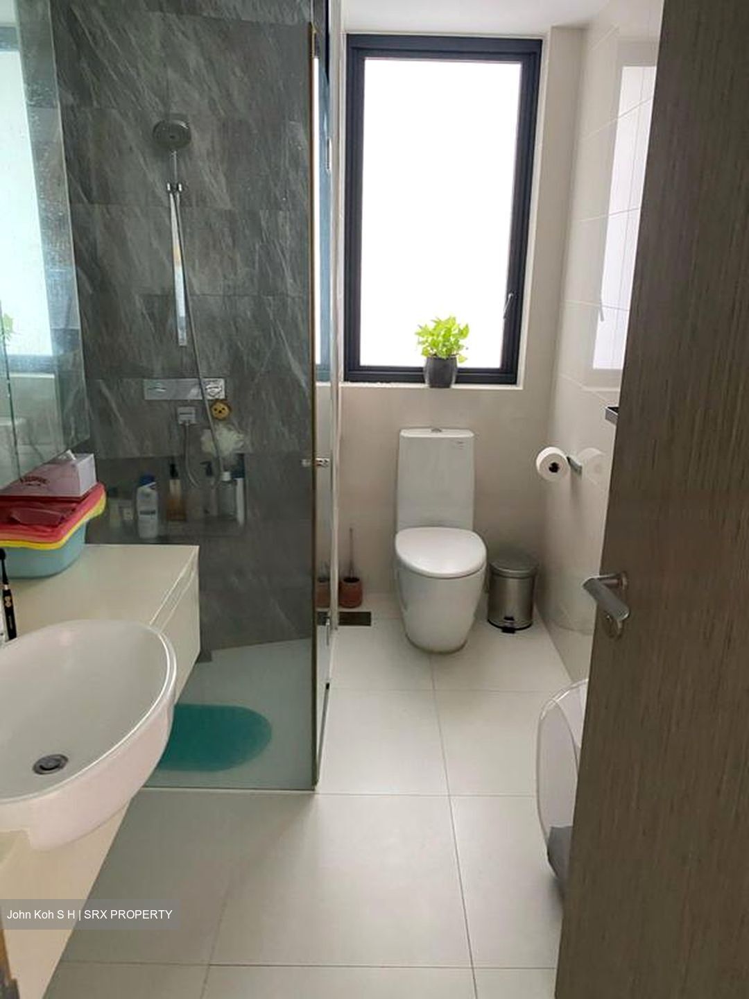 D'Leedon (D10), Condominium #486672131